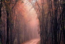 问鼎娱乐体育：吴曦在中超对阵河南打进6球，超过对阵其他对手进球数.