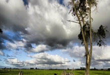 短池世锦赛张正伟无缘决赛 郑诠龙打破全国纪录.