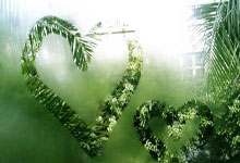 问鼎娱乐体育：官方：JJ-雷迪克正式成为球队新任主教练.