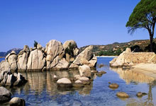 问鼎娱乐体育：赛点丨出战查尔斯顿 郑钦文无缝衔接红土赛季.